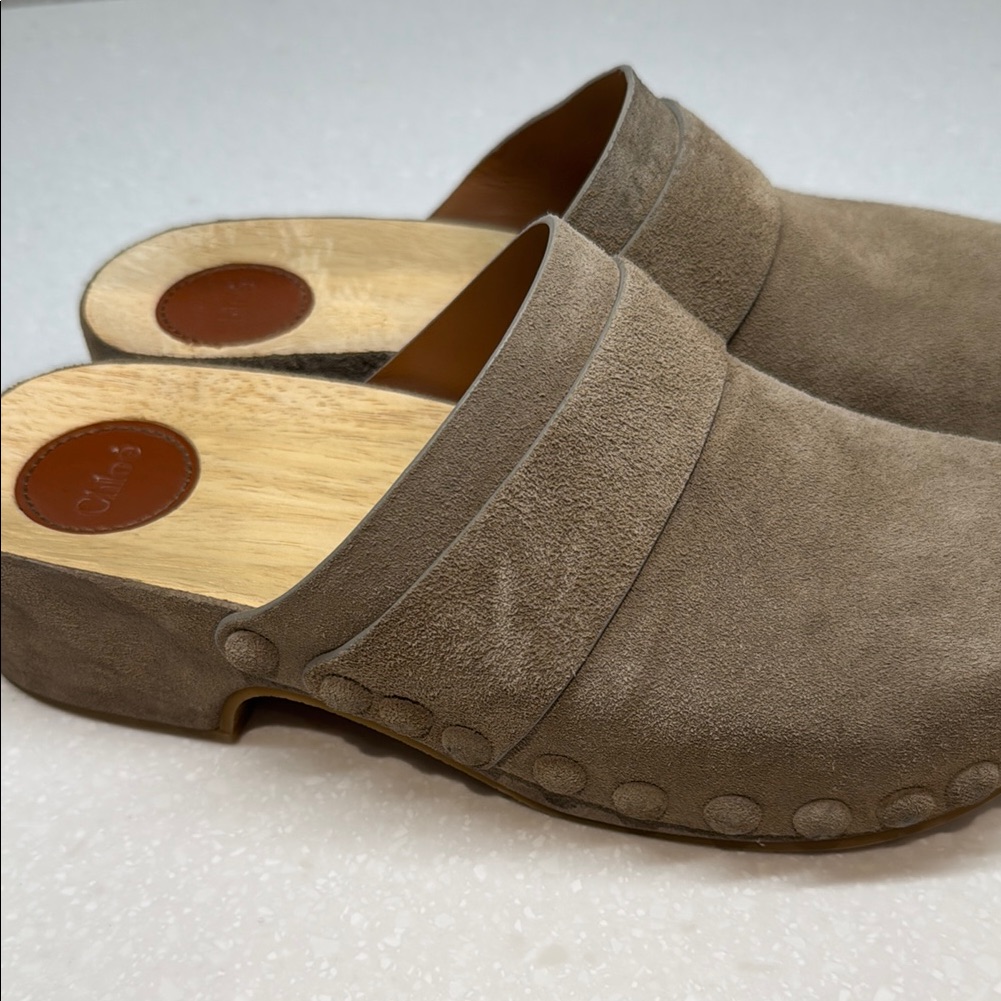 Suede Chloe Clogs With Wooden Sole